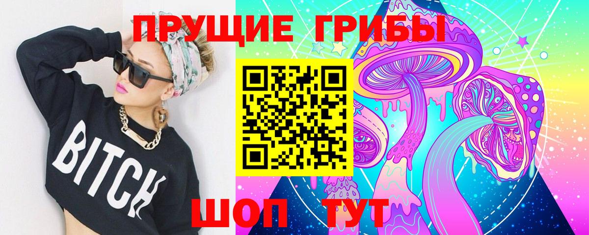 Псилоцибиновые грибы Cubensis  Вход с VPN  Междуреченск 