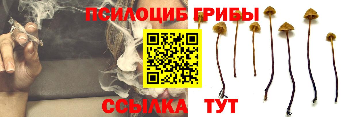Галлюциногенные грибы ЛСД Междуреченск